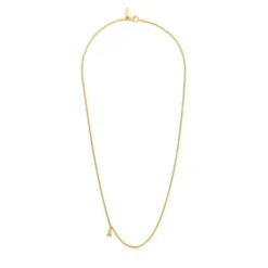 Colar curto barbado banhado a ouro de 18 K sobre prata Bold Bear